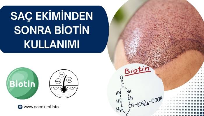 Saç Ekiminden Sonra Biotin Kullanımı